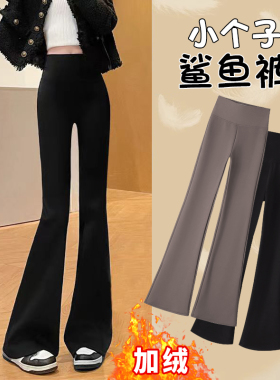 小个子微喇鲨鱼裤女外穿秋冬加绒高腰显瘦瑜伽打底裤喇叭裤女春秋