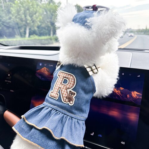 宠物衣服狗狗牛仔裙泰迪比熊博美小型犬猫咪公主裙牛仔背带牛仔裤