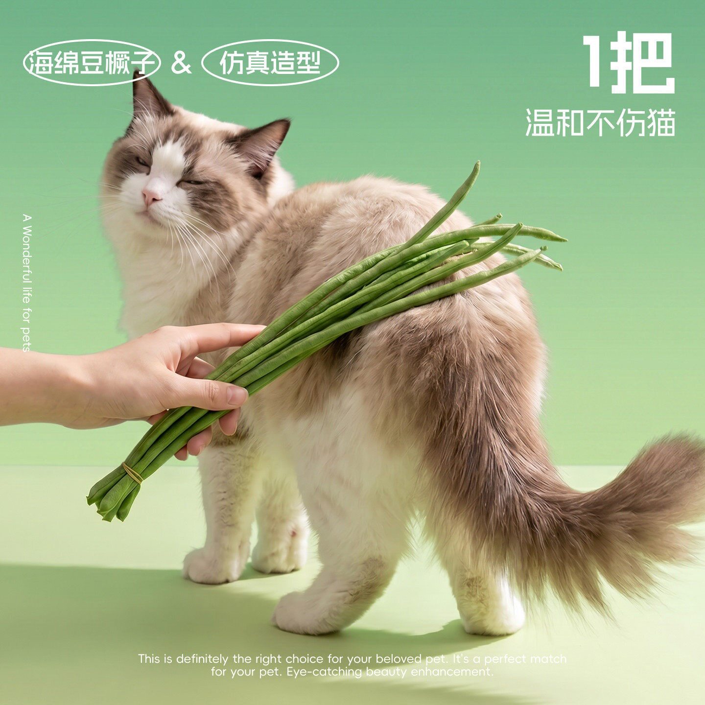 仿真豆橛子鞭子逗猫棒猫咪耐咬解闷互动玩具软绵不伤猫打猫咪神器