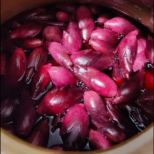 竹溪泡菜酸阳荷姜泡洋荷辣椒腌洋荷姜酸菜下饭菜洋火洋禾洋霍竹山