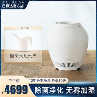 BALMUDA日本巴慕达加湿器空调家用卧室静音婴儿空气净化无雾除菌