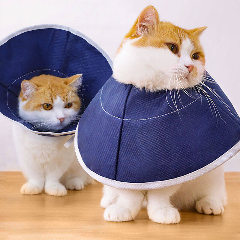 欢宠网伊丽莎白圈猫狗宠物狗狗猫咪头套项圈颈脖圈防舔咬脖套耻辱使用感如何?