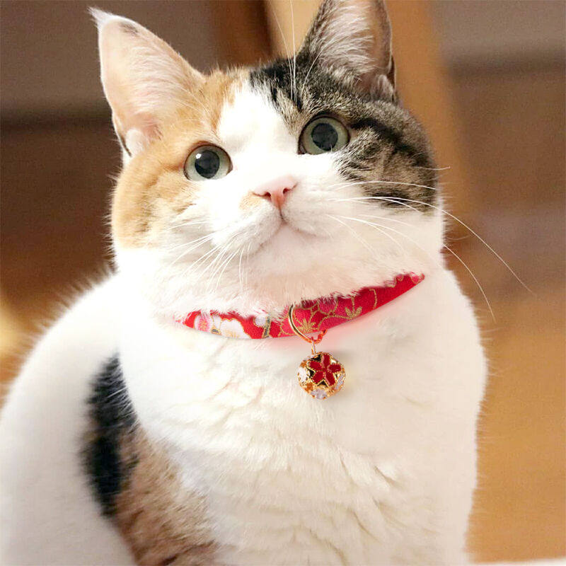 欢宠网猫项圈猫咪铃铛狗狗宠物幼小中型猫猫犬脖圈颈项链装饰用品属于什么档次？