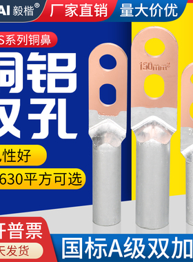 国标A级双孔铜铝鼻DTLS25/50/70/95/240平方铜铝过渡接线端子线耳