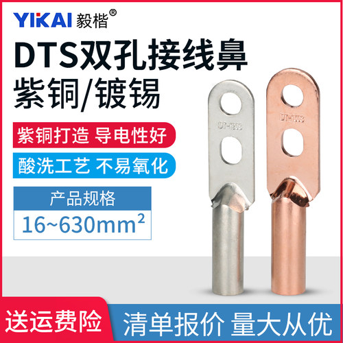 双孔dts25平方接线端子