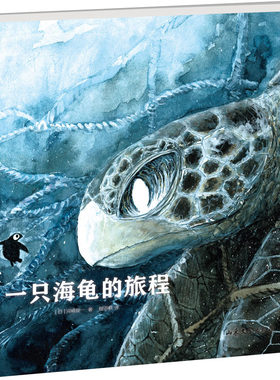 一只海龟的旅程