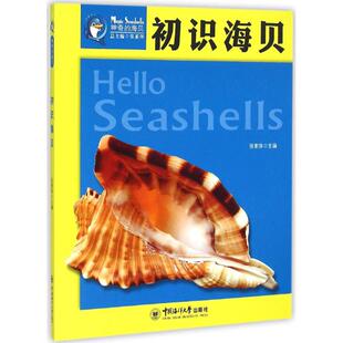 初识海贝