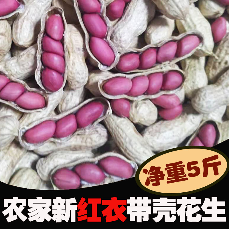 25年红皮花生米生干货5斤装农家新鲜晒干原味生花生带壳红衣花生