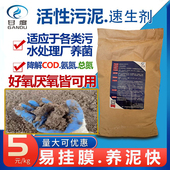 污水处理菌种甘度活性污泥菌促生长剂好厌氧菌水处理污泥培养细菌