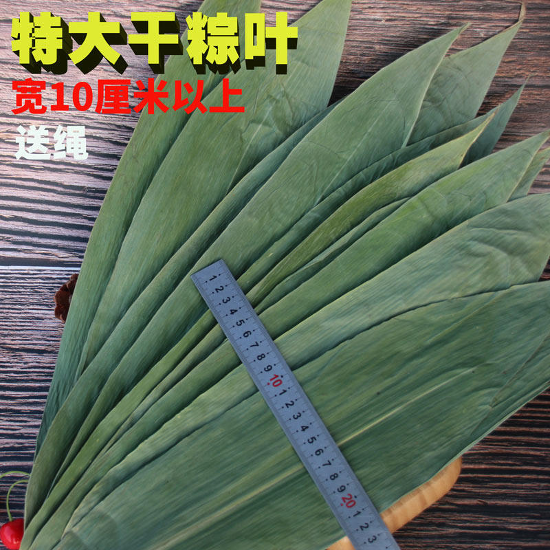 新鲜大号野生商用摆盘粽子叶