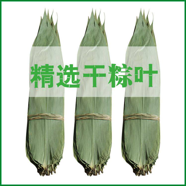 朕馋了精选干粽叶包粽子叶子大号