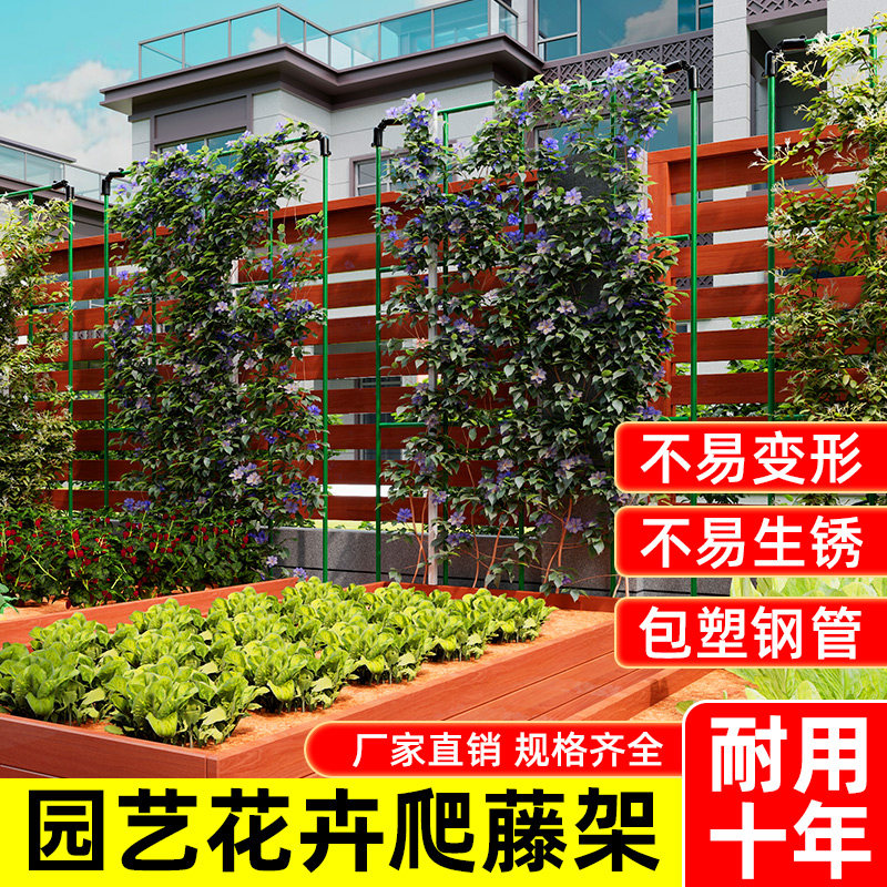 听语月季花架爬藤架爬山虎攀爬架图片