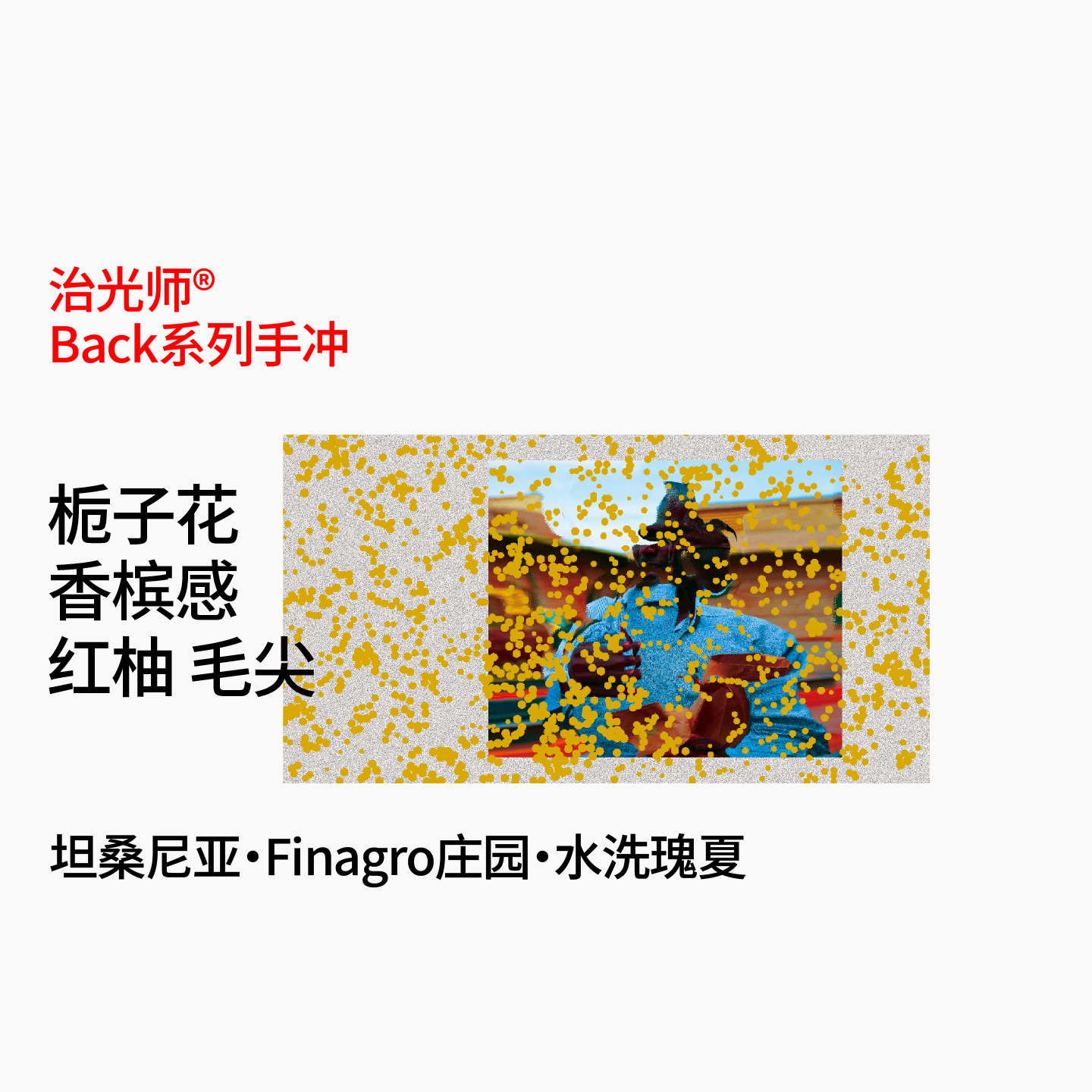 治光师坦桑尼亚多风味手冲咖啡豆