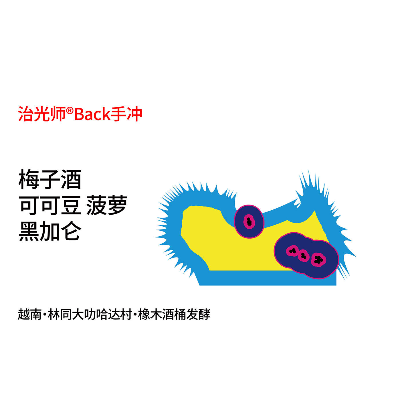 Back系列 Catimor橡木酒桶发酵 梅子酒|菠萝 手冲咖啡豆