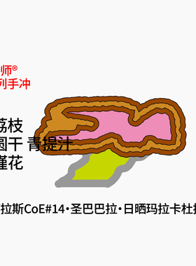 T系列 COE14 Pila日晒玛拉卡杜拉 荔枝|青提 手冲咖啡豆100g/30g