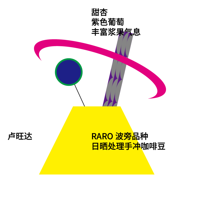 【卢旺达手冲豆】治光师卢旺达波旁品种新鲜烘焙精品手冲咖啡豆