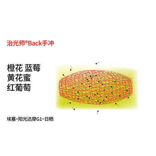 治光师埃塞手冲咖啡豆