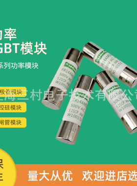 全新熔断器保险丝FR10GR69V25/F1014581 FR10GR69V30/G1014582