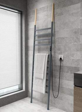 浴室落地式电加热毛巾挂架碳纤维家用卫生间置物架浴巾烘干机极s^