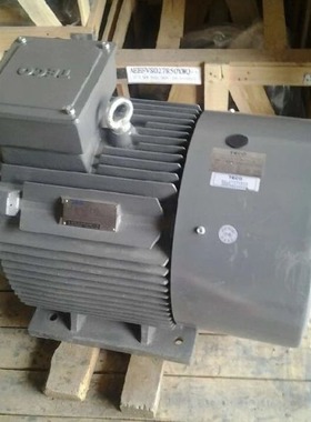 TECO东元电机50HP 37KW 4P AEEVF3 卧式 厂家直供