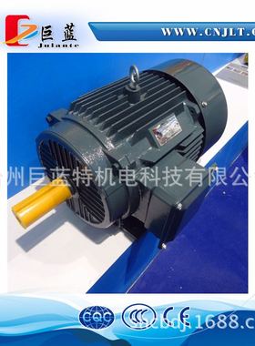 W20-V1 - 160 kw-4p_V1立式三相电机 380v 50hz 1400转 巨蓝