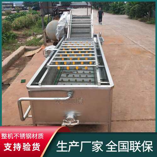全自动刺梨气泡清洗机 海草海菜清洗机流水线 不锈钢气泡洗菜机