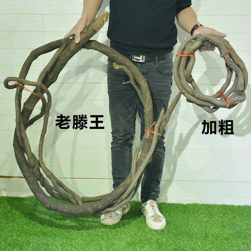 仿真树藤装饰藤条枯藤干造景葡萄藤缠绕藤蔓树枝植物腾爬藤树造型,商业/办公家具,假山/仿真造景,淘宝优惠券,粉丝福利购,淘宝优惠卷