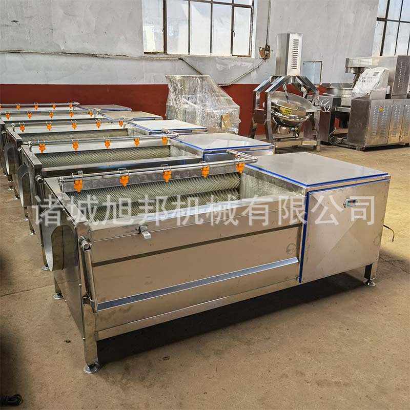 多功能莲藕莴苣去皮清洗机 海蛎子去杂清洗设备 百香果毛辊清洗机