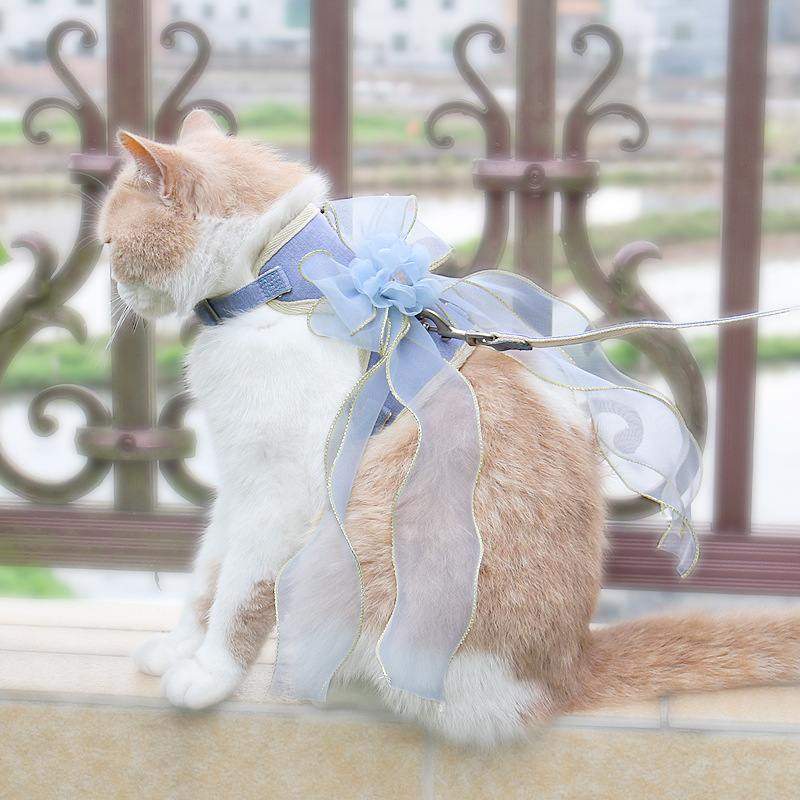 猫咪牵引绳仙女背心式胸猫咪溜栓链子专用绳子猫外出挣脱猫防背带,宠物/宠物食品及用品,猫牵引绳,淘宝优惠券,粉丝福利购,淘宝优惠卷