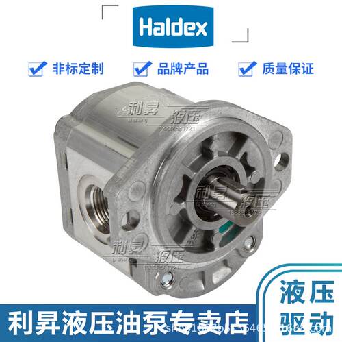 瑞典HALDEX翰德压路机补油泵 WP09A1B050R03BA150N 摊铺机齿轮泵