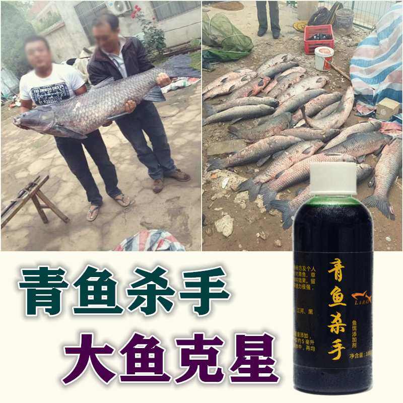 青鱼小药钓青鱼饵料添加剂杀手黑坑专用诱鱼野钓草鱼窝料老廖师傅