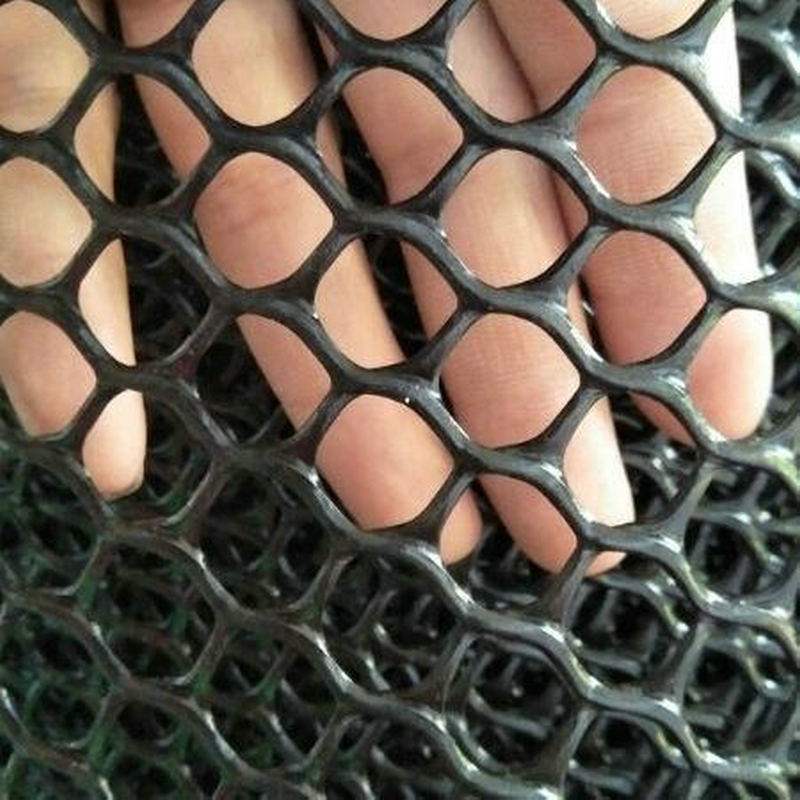 新款直销绿色整卷塑料平网养殖网床 养鸡网 塑料网片小孔育雏网