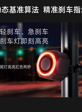 SF33R自行车智能尾灯防盗报警器骑行尾灯跨境尾灯尾灯充电刹车