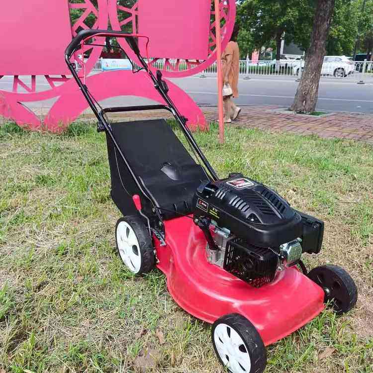 山东工厂直供自走割草机手推式汽油剪草机 四冲程大草袋割草机,农机/农具/农膜,割灌机/割草机/油锯,淘宝优惠券,粉丝福利购,淘宝优惠卷