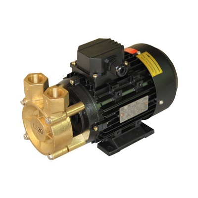 耐高温导热油热水泵 司倍克SPECK同款高温泵 卧式离心循环旋涡泵