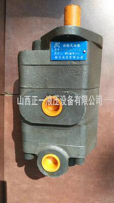 厂家供应双联齿轮泵2CB-FE50/40 兰考吊车专用双联齿轮泵