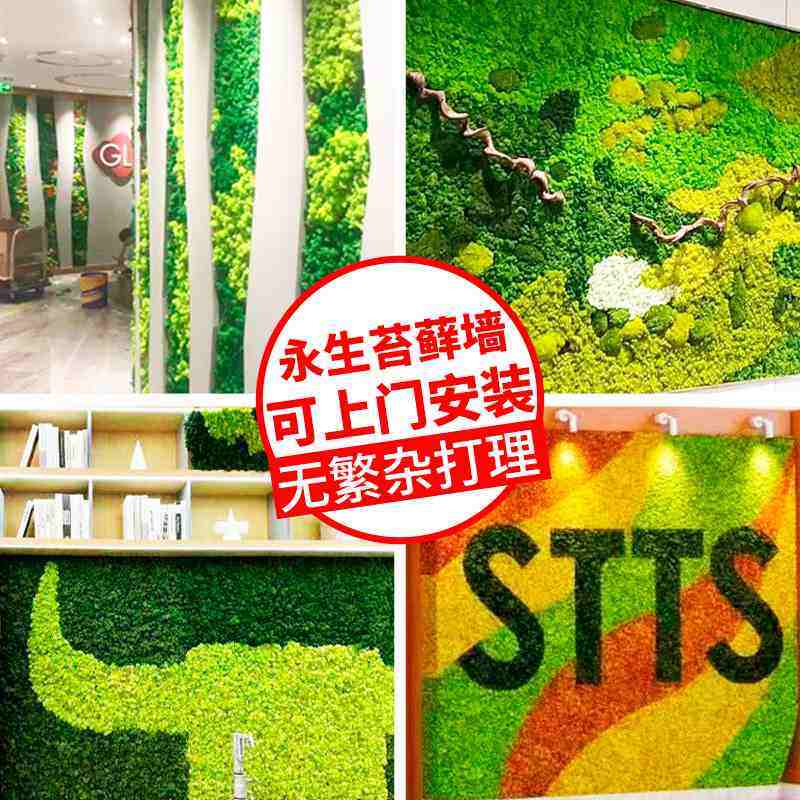 永生苔藓片仿真驯鹿苔藓植物前台装饰墙DIY微景观支持上面安装