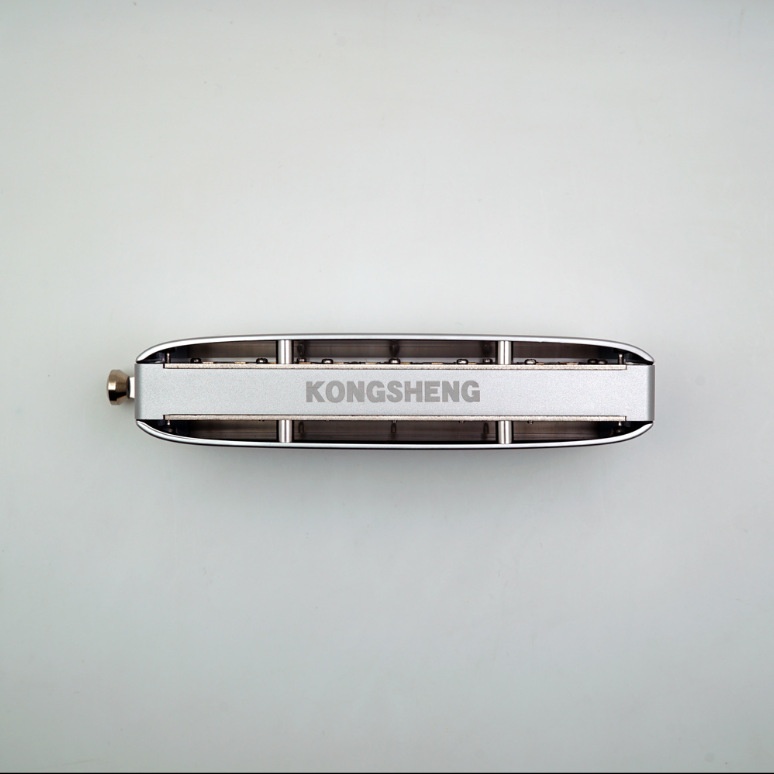 新款直销孔声天琴座半音阶口琴12孔演奏变调乐器琴演奏型练习练功