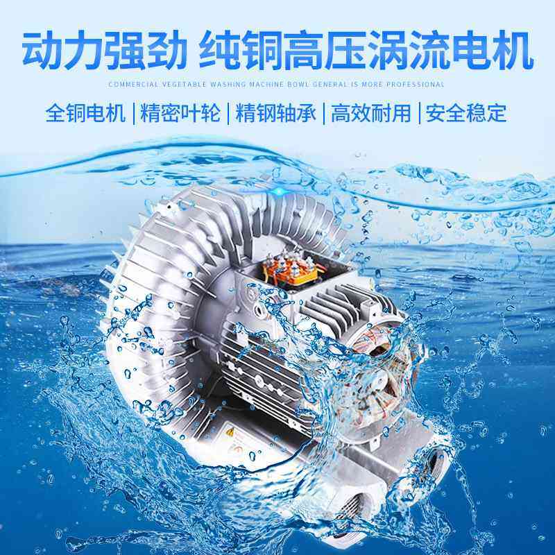 商用宠物食材清洗机 涡流气泡臭氧洗菜机洗肉洗龙虾 超声波洗菜机