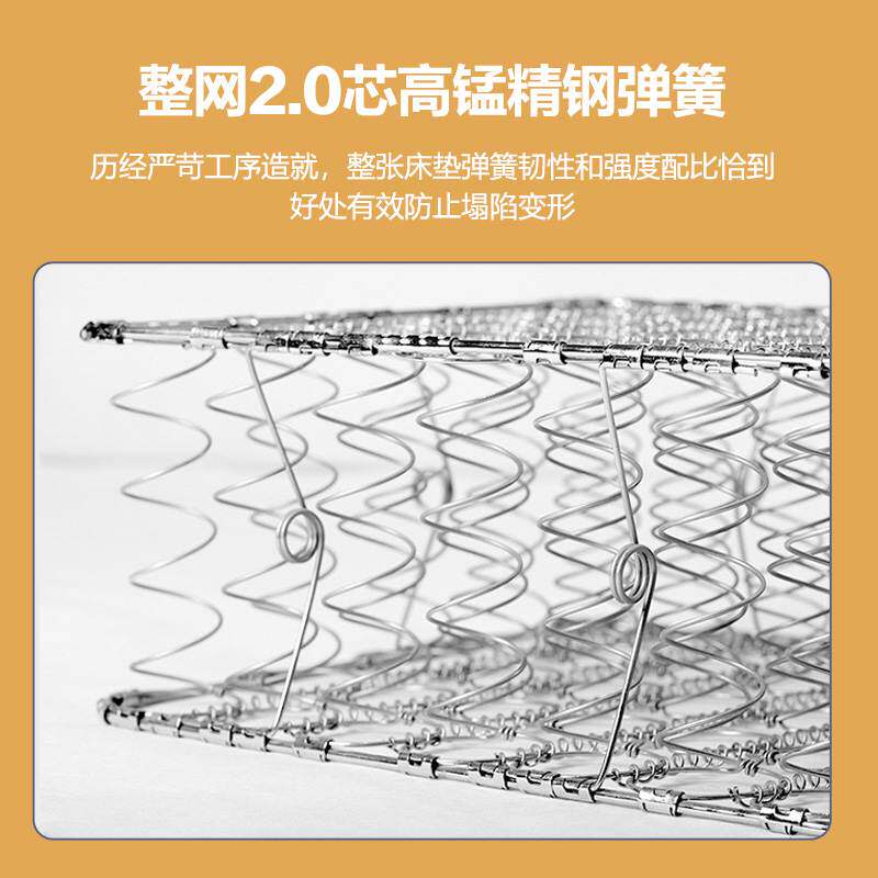 Z家具 软硬两用椰棕弹簧床垫双人床垫环保1.35m1.5米1.8米1.2垫子
