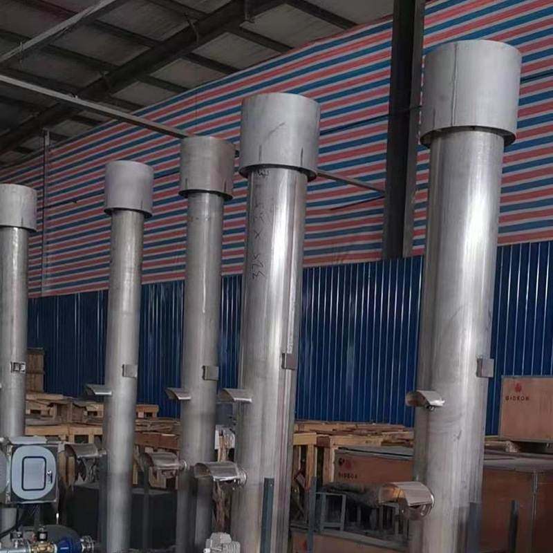 厂家定制沼气火炬污水处理厂养殖场50立方304不锈钢沼气燃烧器