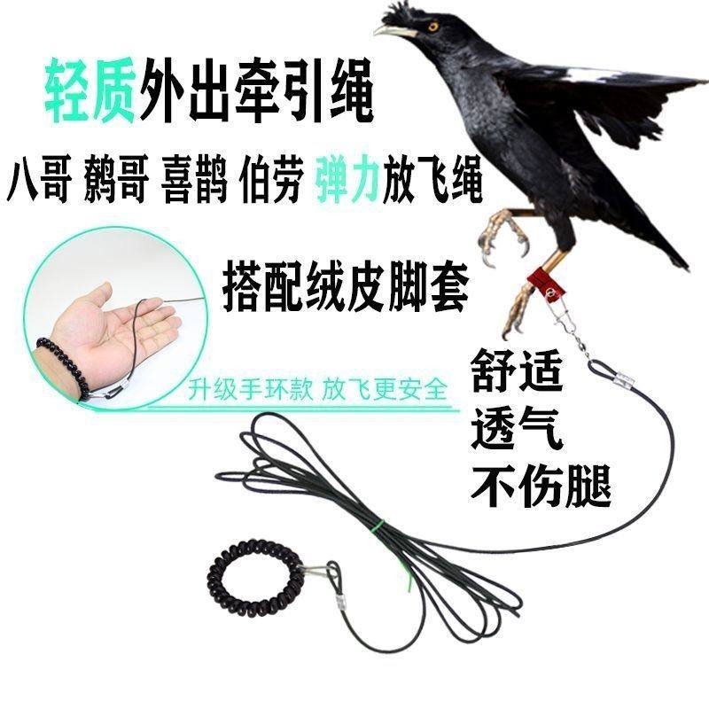 拌鸟脚套鸟用轻便放飞绳家养八哥鹩哥白颈乌鸦外出牵引遛鸟绳不伤,宠物/宠物食品及用品,鸟用放飞绳,淘宝优惠券,粉丝福利购,淘宝优惠卷