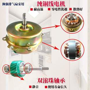 狮强牌S601A厨房油烟排气排风换气扇10寸家用窗式静音强力抽吸机