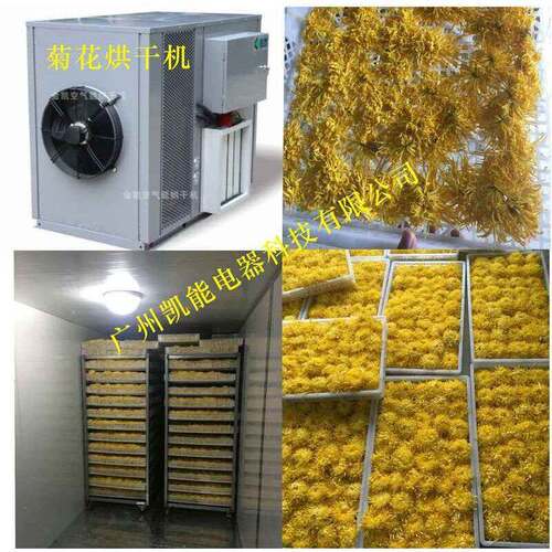 金凯菊花空气能 热泵烘干设备节能药材热泵烘干机
