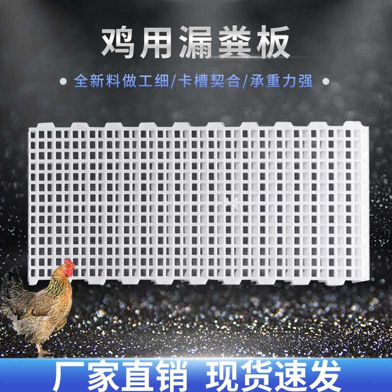 漏粪板鸡用鸡笼鸡粪鸽舍塑料漏粪板养小鸡鸭鹅漏粪网养殖专用设备