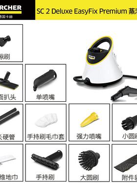 高温高压清洁机蒸汽杀菌厨房多功能一体机清洗机SC2D