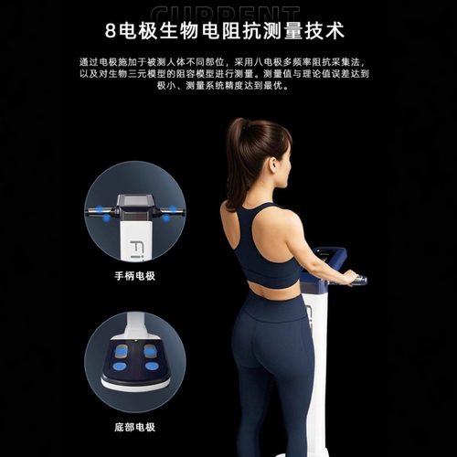 贝雅Beryl专业体脂秤健身房体检中心瑜伽馆FitMao体重秤体测仪
