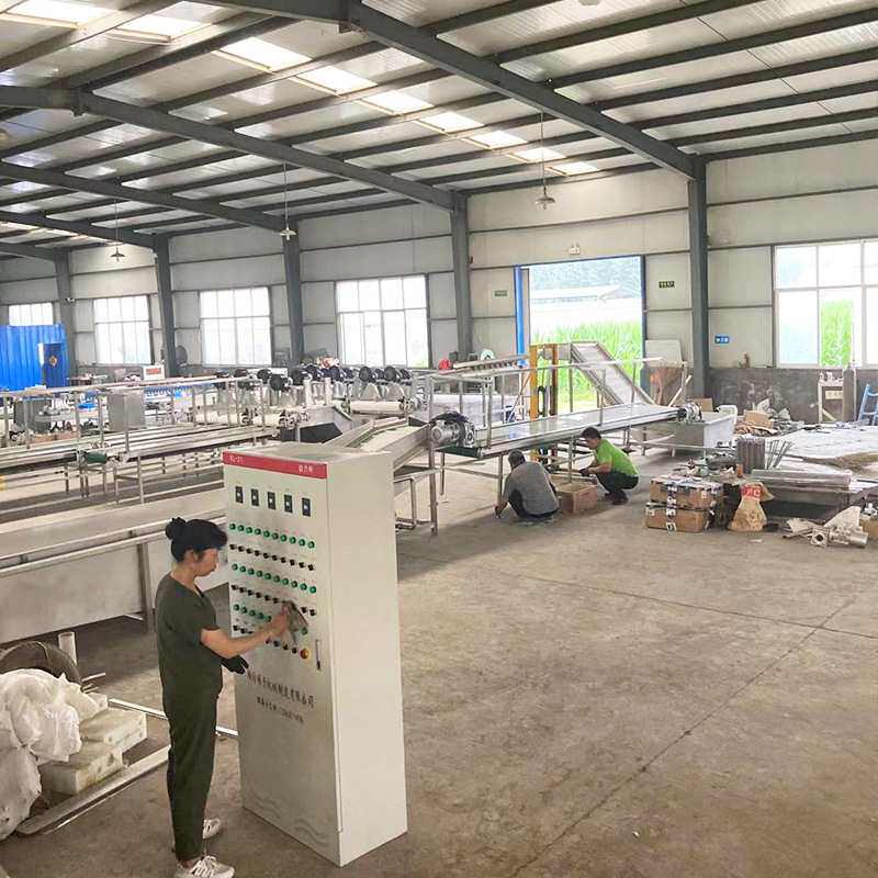 硕特樱桃选果机小型樱桃分选机价格李子分级机车厘子预冷选别机