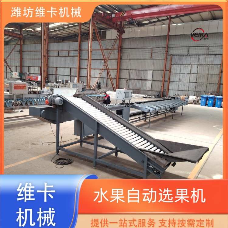 称重分选机 蜜柚沃柑柠檬水果分级机 重量分拣机全自动电子选果机