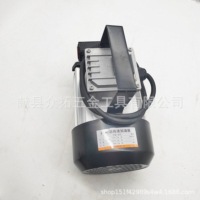 750W电动抽油泵220v自吸吸自抽油机机油泵式泵柴油齿轮泵加油泵